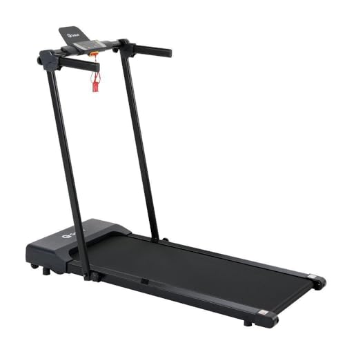 Esteira Ergométrica Elétrica Gallant Compact Fold 1,6hp 10km/H 110kg 220v (GEE11M16A-220PT) - 1